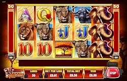 Safari Spirit Slot Machine Online ᐈ Ainsworth™ Casino Slots Safari Spirit Slot Machine Online ᐈ Ainsworth™ Casino Slots