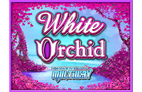 Thumbnail image for IGT White Orchid Slot Machine Review